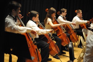 Strings (Custom)